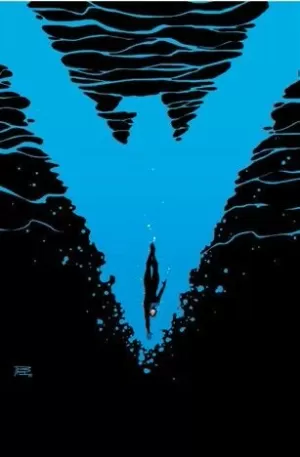 NIGHTWING 35