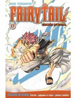 FAIRY TAIL 17