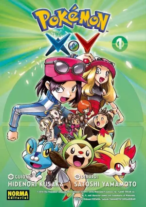 POKEMON X Y 01