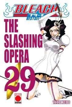 BLEACH BESTSELLER 29